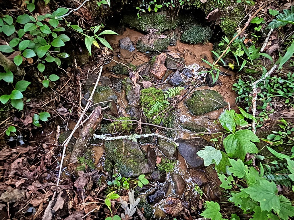 Lot 20 Mt. Springer Road Property Photo 24