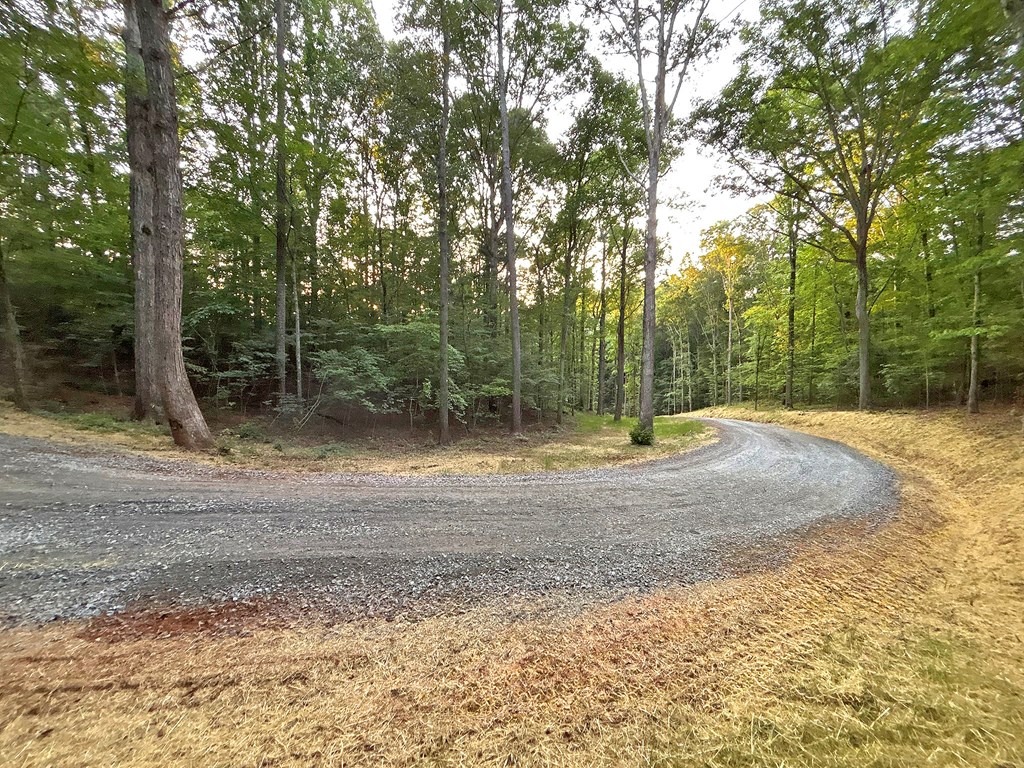 Lot 20 Mt. Springer Road Property Photo 26