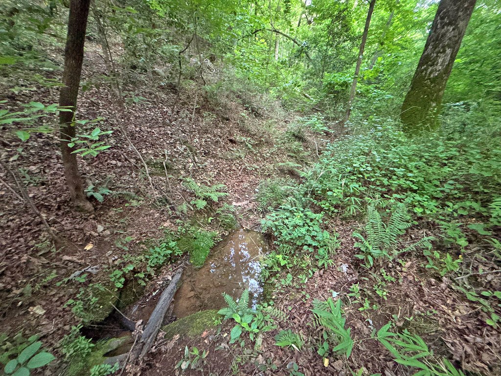 Lot 20 Mt. Springer Road Property Photo 27