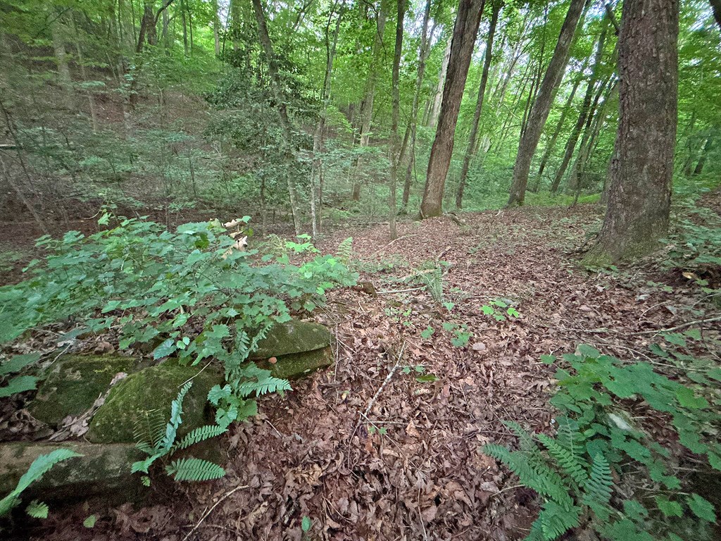 Lot 20 Mt. Springer Road Property Photo 28