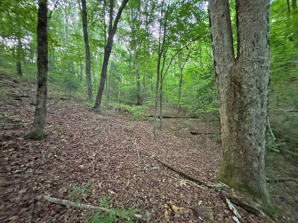 Lot 20 Mt. Springer Road Property Photo 30