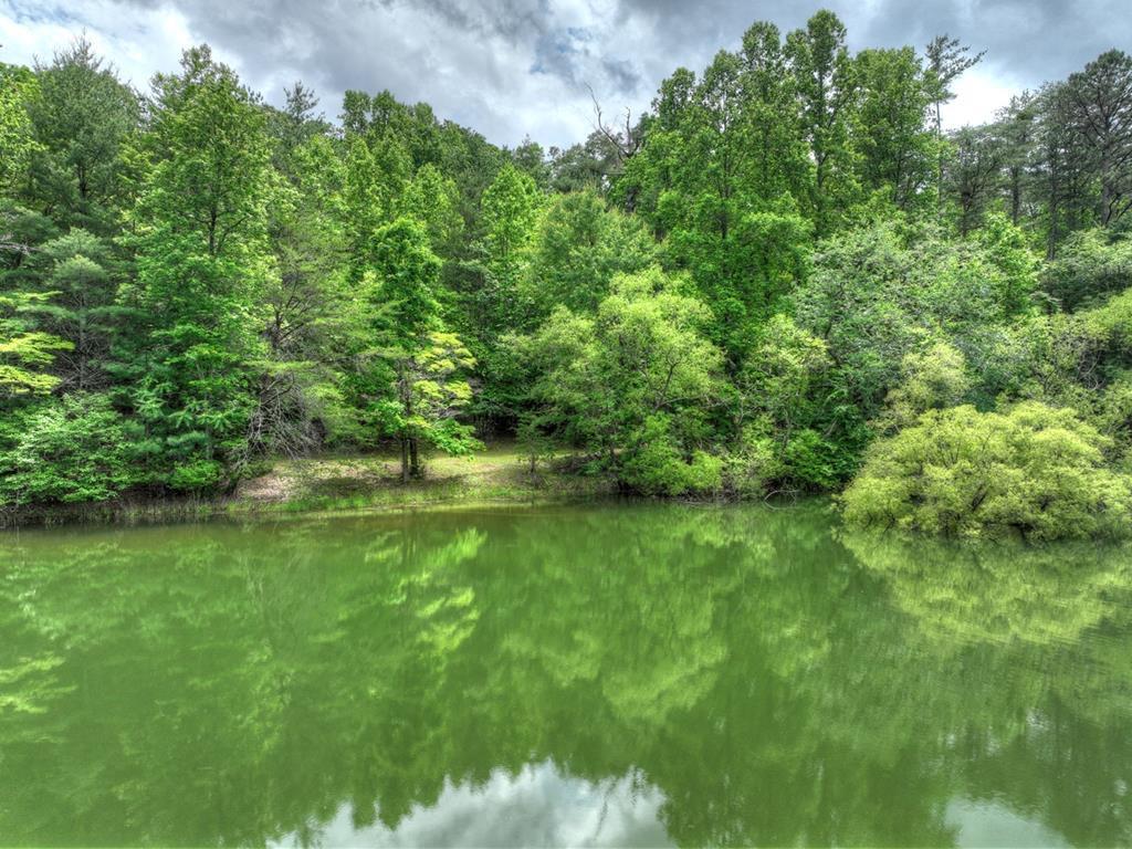 102 Captains Cove Property Photo 3