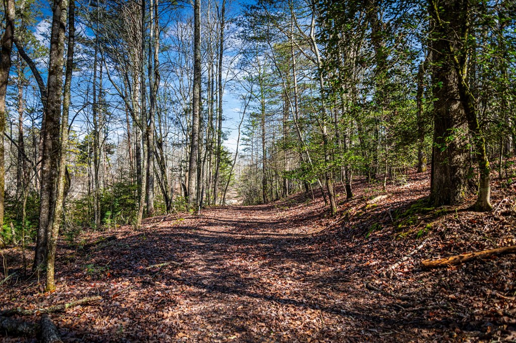 102 Captains Cove Property Photo 42
