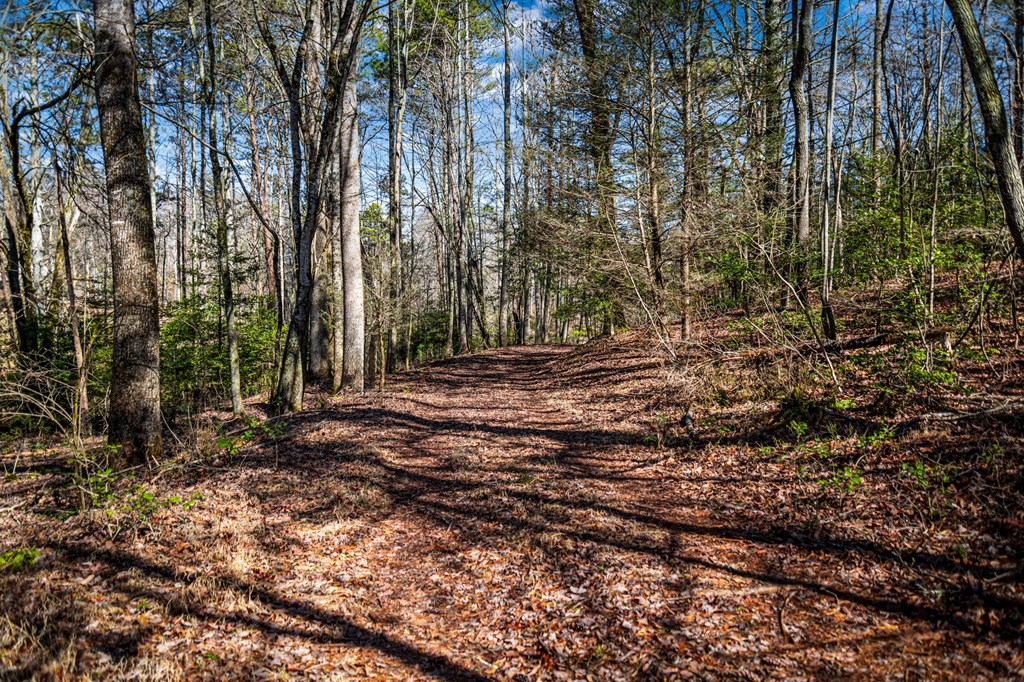 102 Captains Cove Property Photo 43