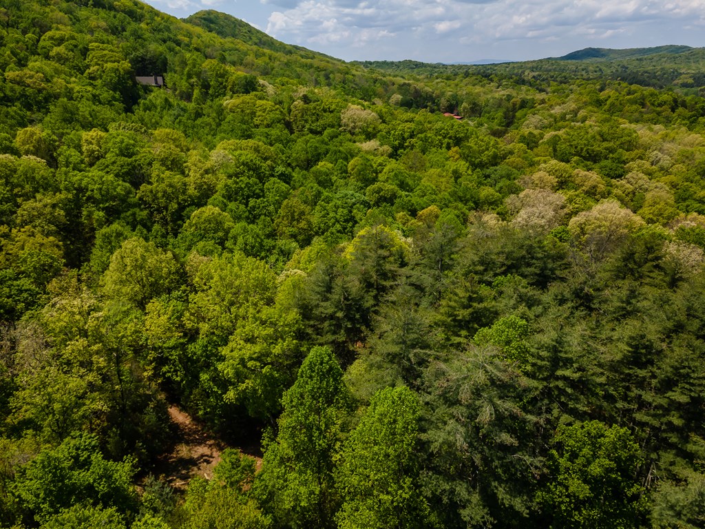 Lot 3-4 Scouts Overlook Lane Property Photo 33