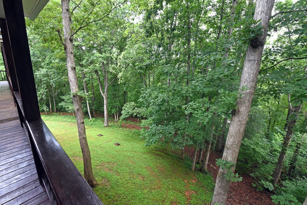 1250 Hawkview Drive Property Photo 28