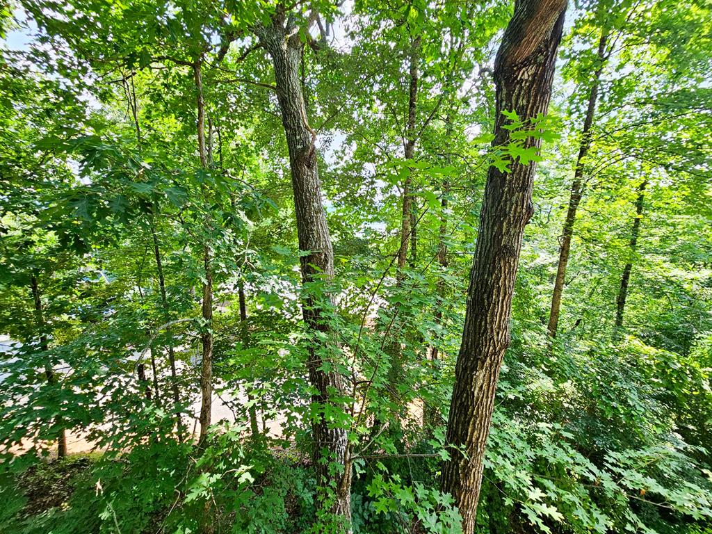 128 Manor Drive Property Photo 31