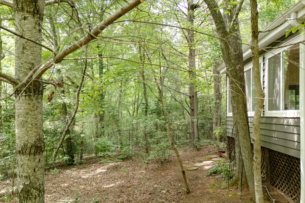 169 Autumn Lane Property Photo 62