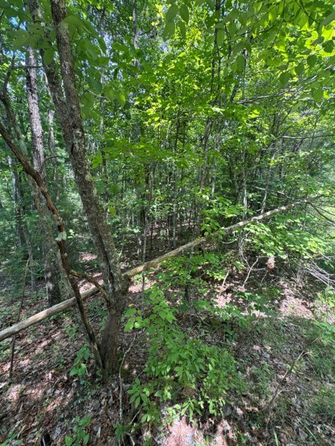 Tr 3 & 4 Lakeland Drive Property Photo 3