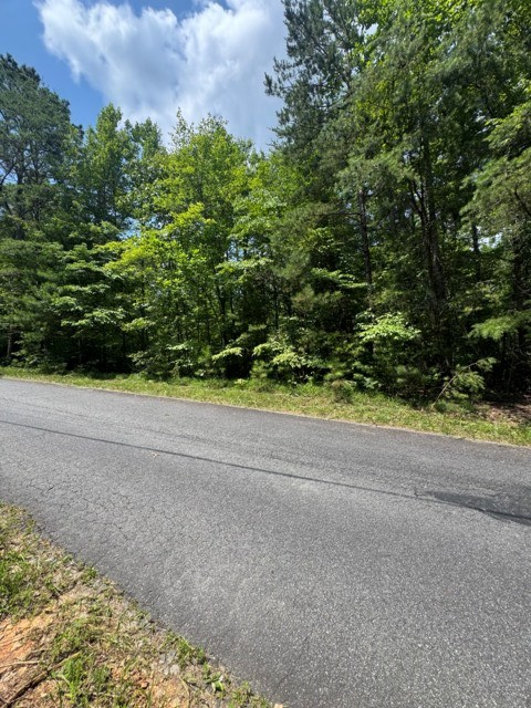 Tr 3 & 4 Lakeland Drive Property Photo 6