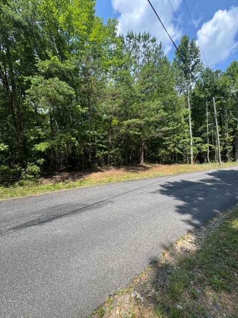 Tr 3 & 4 Lakeland Drive Property Photo 7
