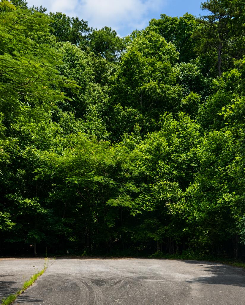 3 Lots Kelly Lane Property Photo 5