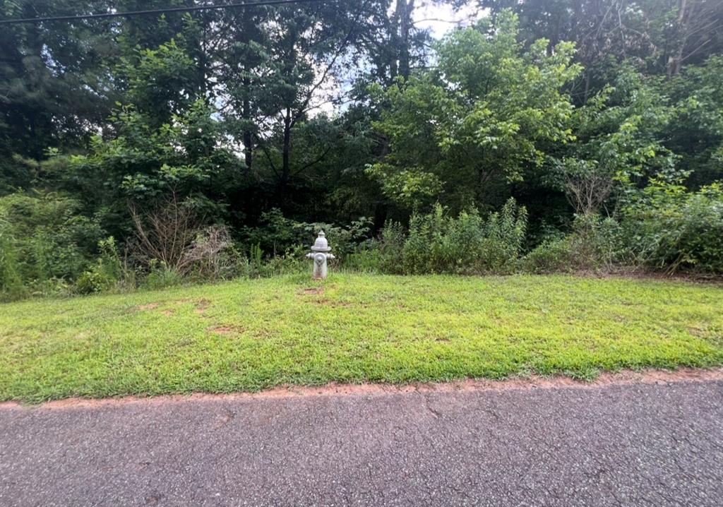 3 Lots Kelly Lane Property Photo 7