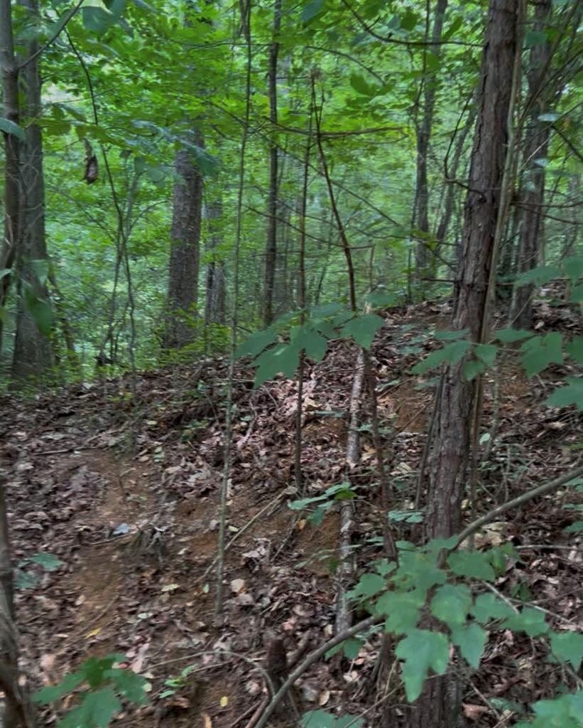 3 Lots Kelly Lane Property Photo 8
