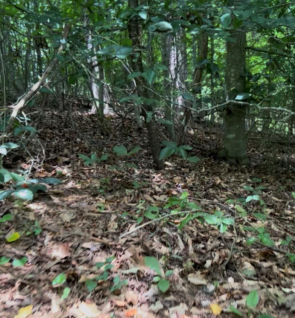 3 Lots Kelly Lane Property Photo 10