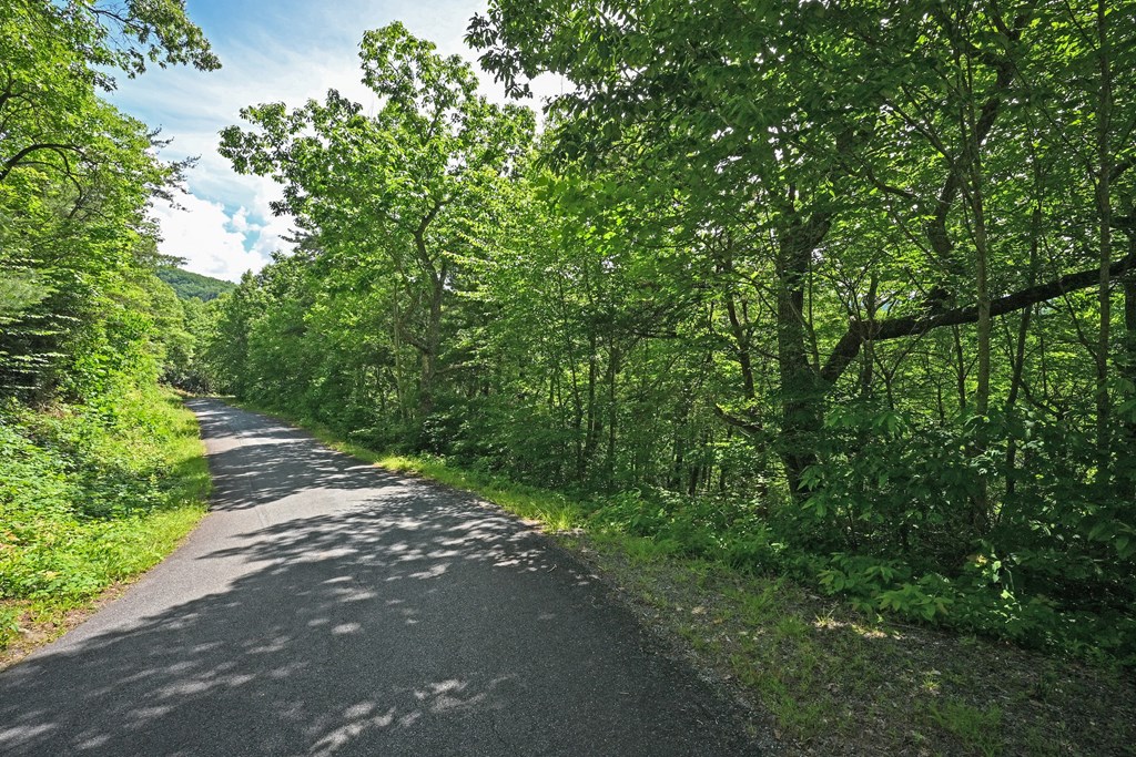 Lot 3 The Ridges Property Photo 3