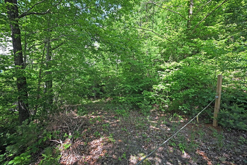 Lot 3 The Ridges Property Photo 4