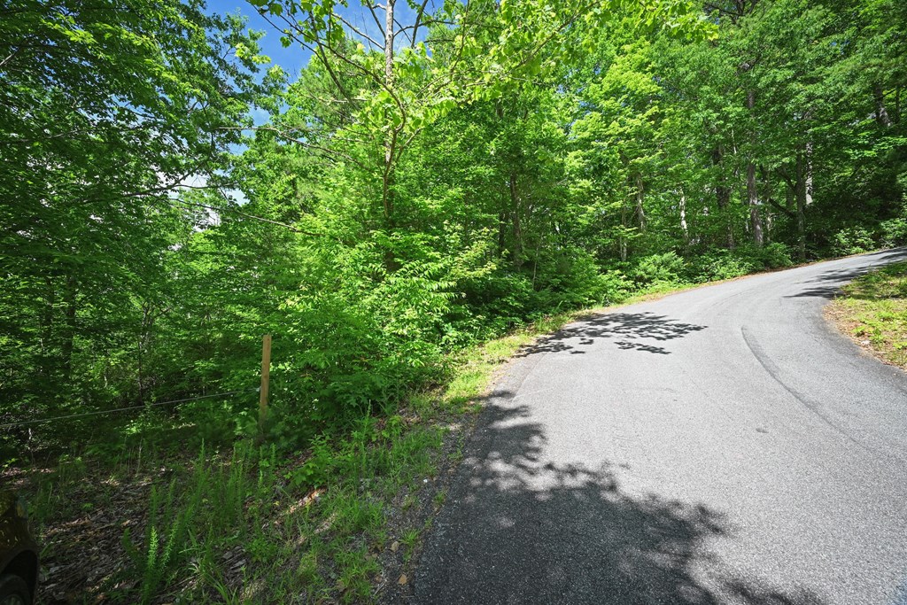 Lot 3 The Ridges Property Photo 5