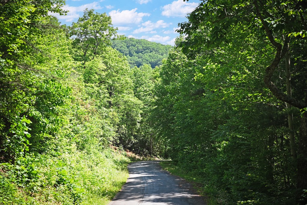 Lot 3 The Ridges Property Photo 6