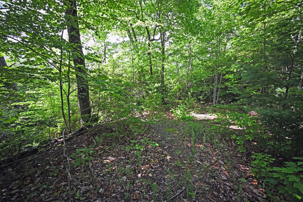 Lot 3 The Ridges Property Photo 8
