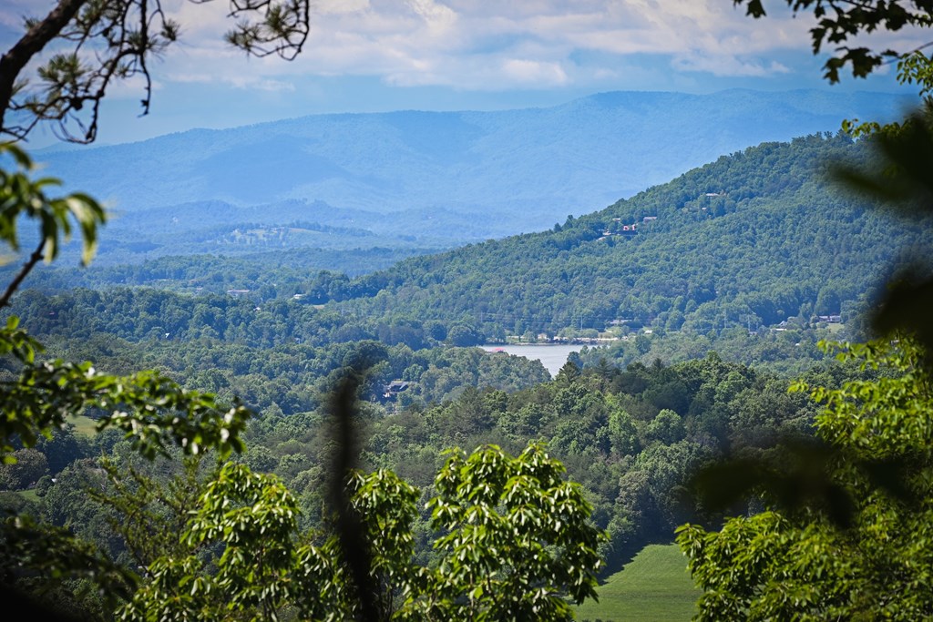 Lot 3 The Ridges Property Photo 9