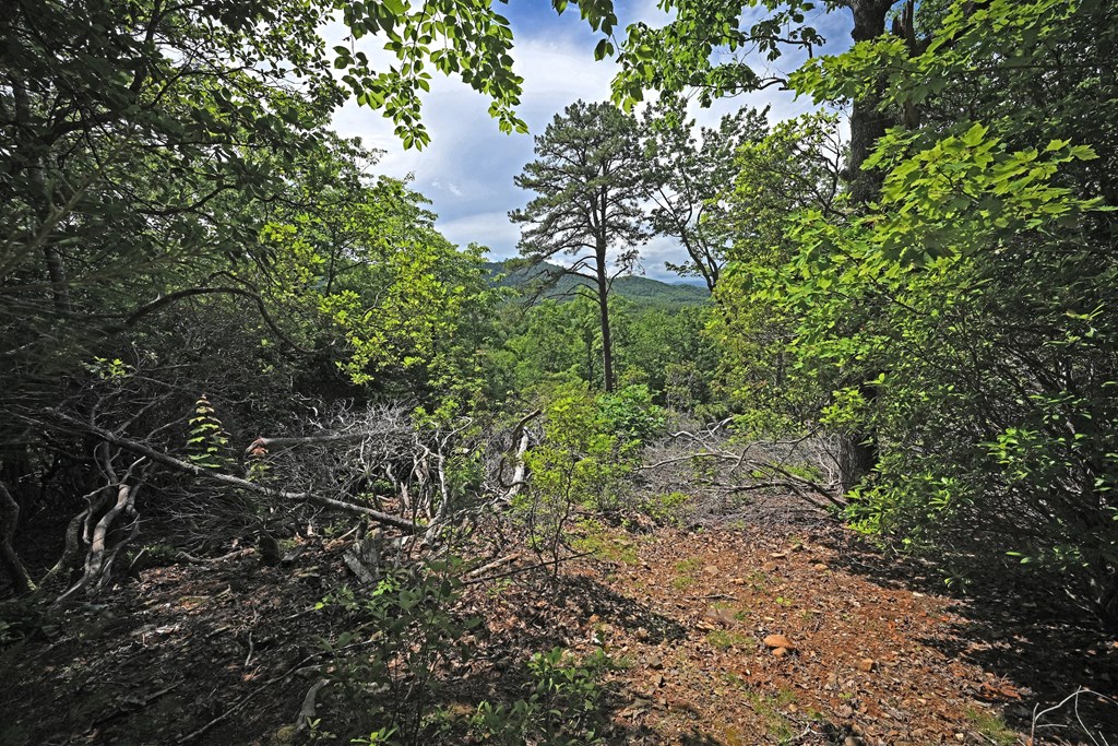Lot 3 The Ridges Property Photo 11