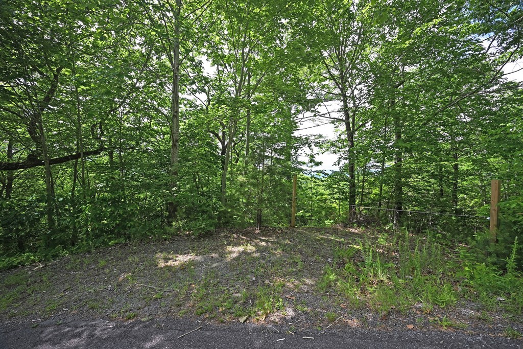 Lot 3 The Ridges Property Photo 13