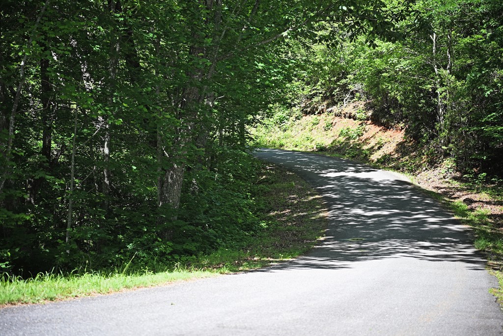 Lot 3 The Ridges Property Photo 14