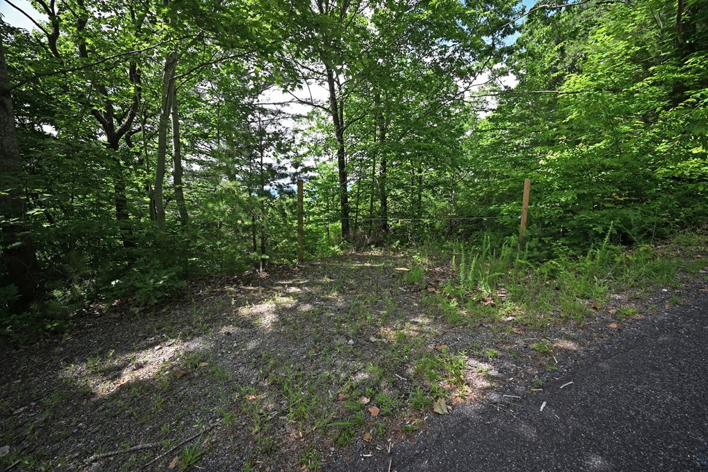 Lot 3 The Ridges Property Photo 15