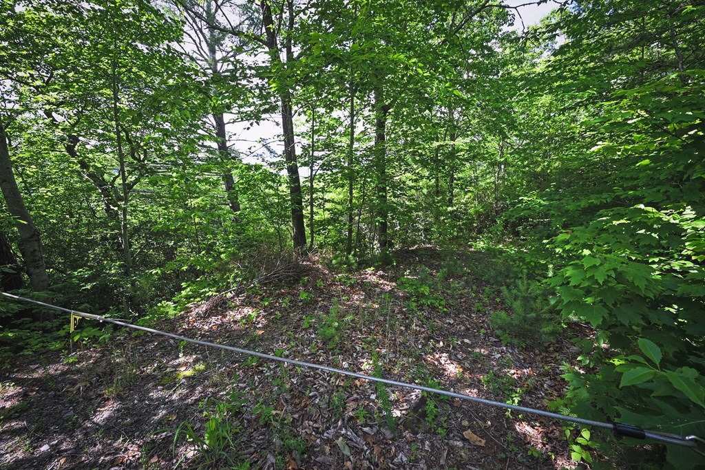 Lot 3 The Ridges Property Photo 16
