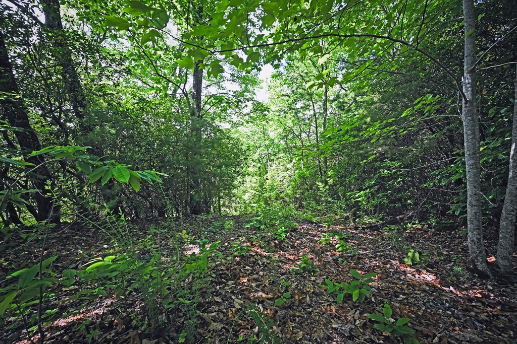 Lot 3 The Ridges Property Photo 17