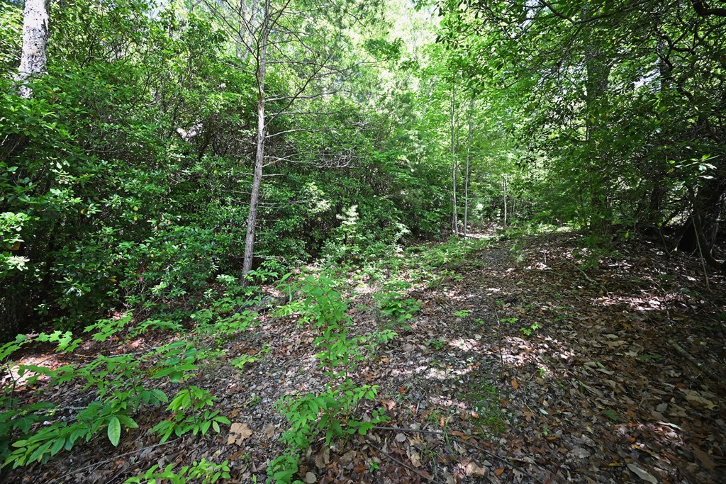 Lot 3 The Ridges Property Photo 18