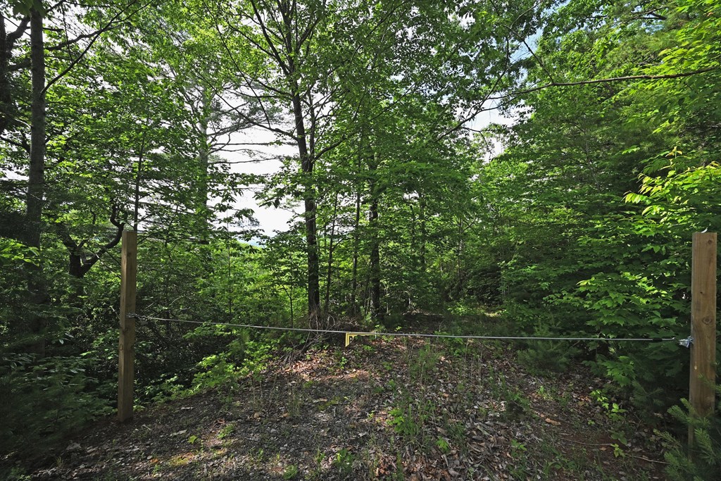 Lot 3 The Ridges Property Photo 19