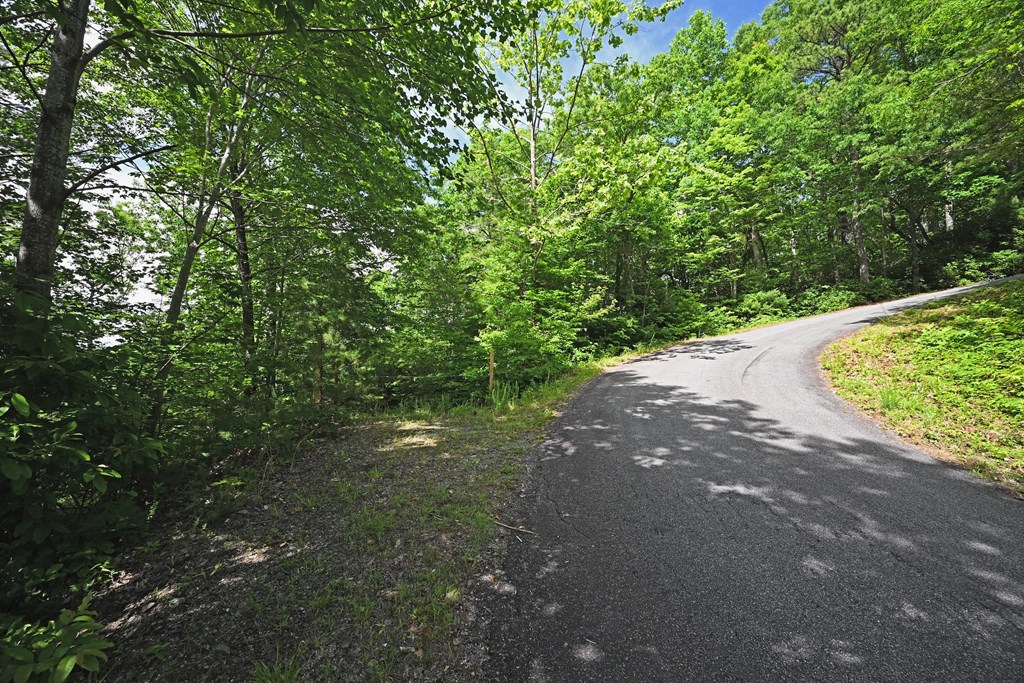 Lot 3 The Ridges Property Photo 20