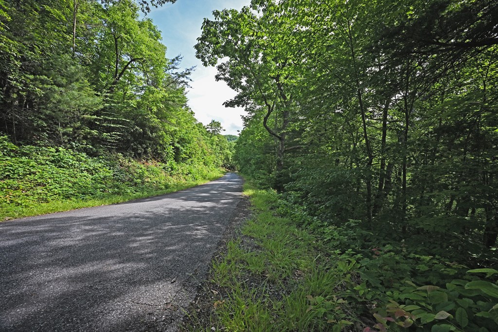 Lot 3 The Ridges Property Photo 21