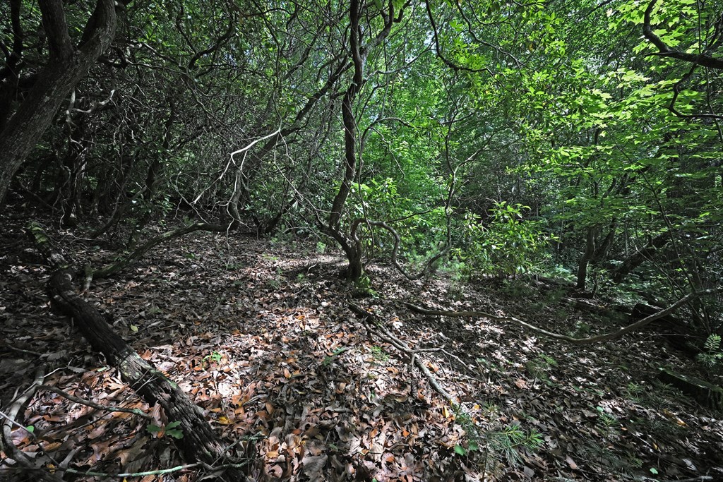 Lot 3 The Ridges Property Photo 22