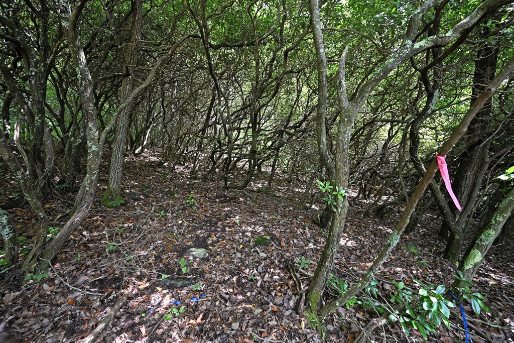 Lot 3 The Ridges Property Photo 23