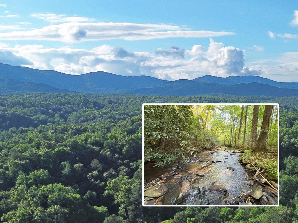 Lot 18 Mt. Springer Road Property Photo 1