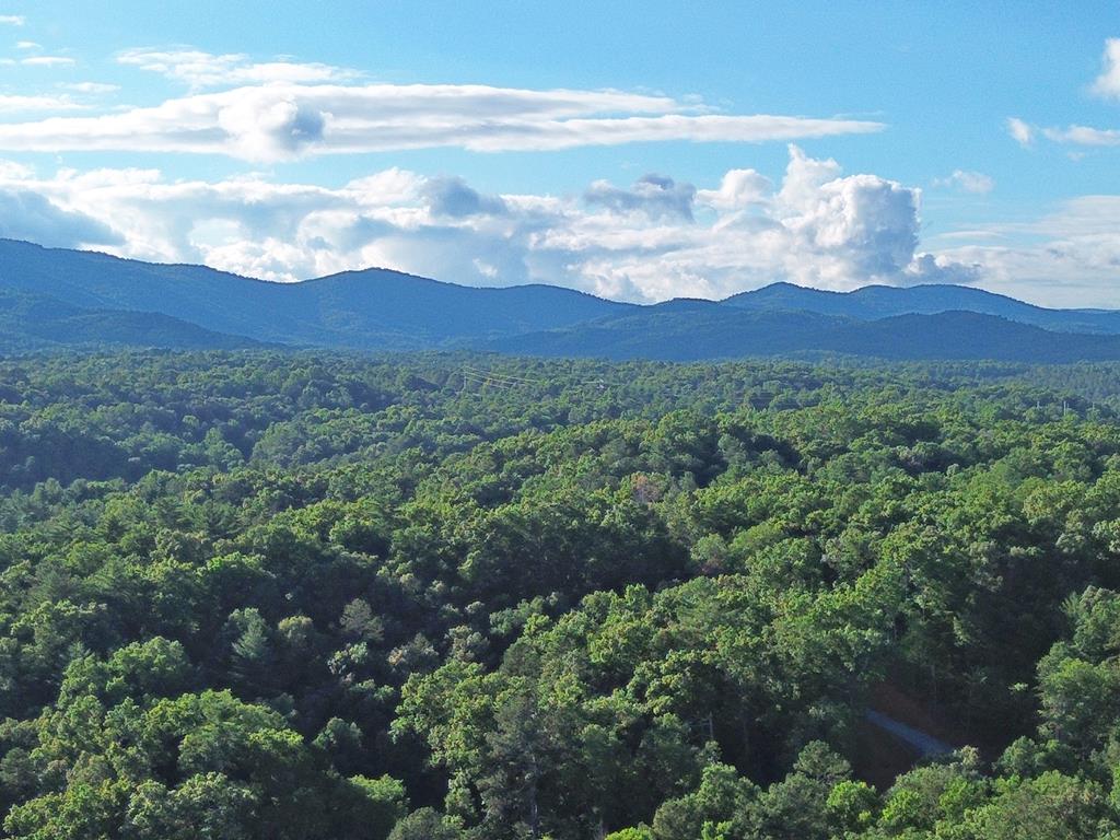 Lot 18 Mt. Springer Road Property Photo 2