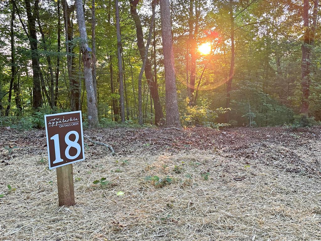 Lot 18 Mt. Springer Road Property Photo 4