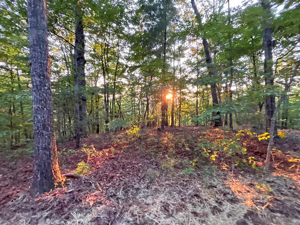 Lot 18 Mt. Springer Road Property Photo 15