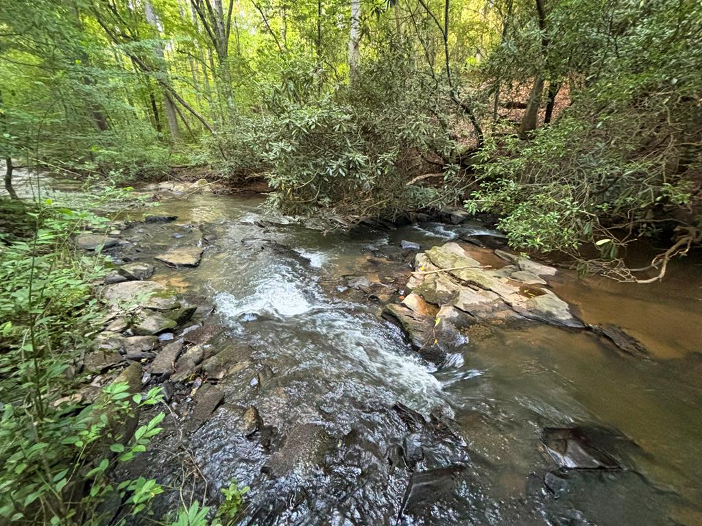Lot 18 Mt. Springer Road Property Photo 18