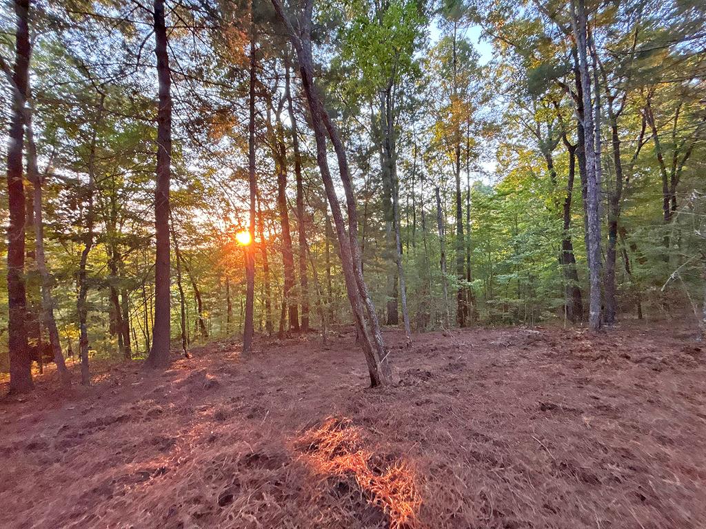 Lot 18 Mt. Springer Road Property Photo 19