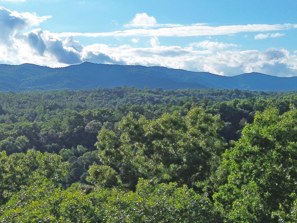 Lot 18 Mt. Springer Road Property Photo 21