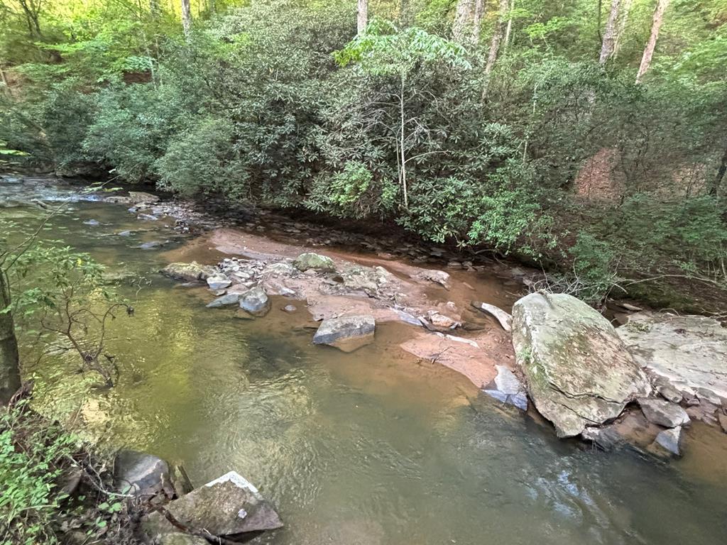 Lot 18 Mt. Springer Road Property Photo 22