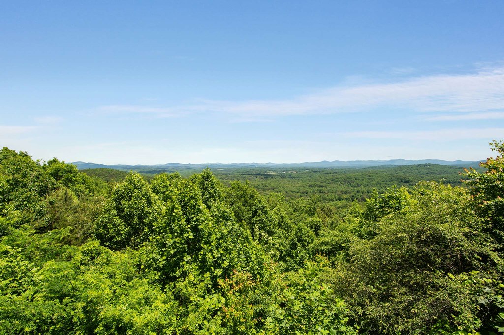 231 Sunrock Mountain Trail Property Photo 2