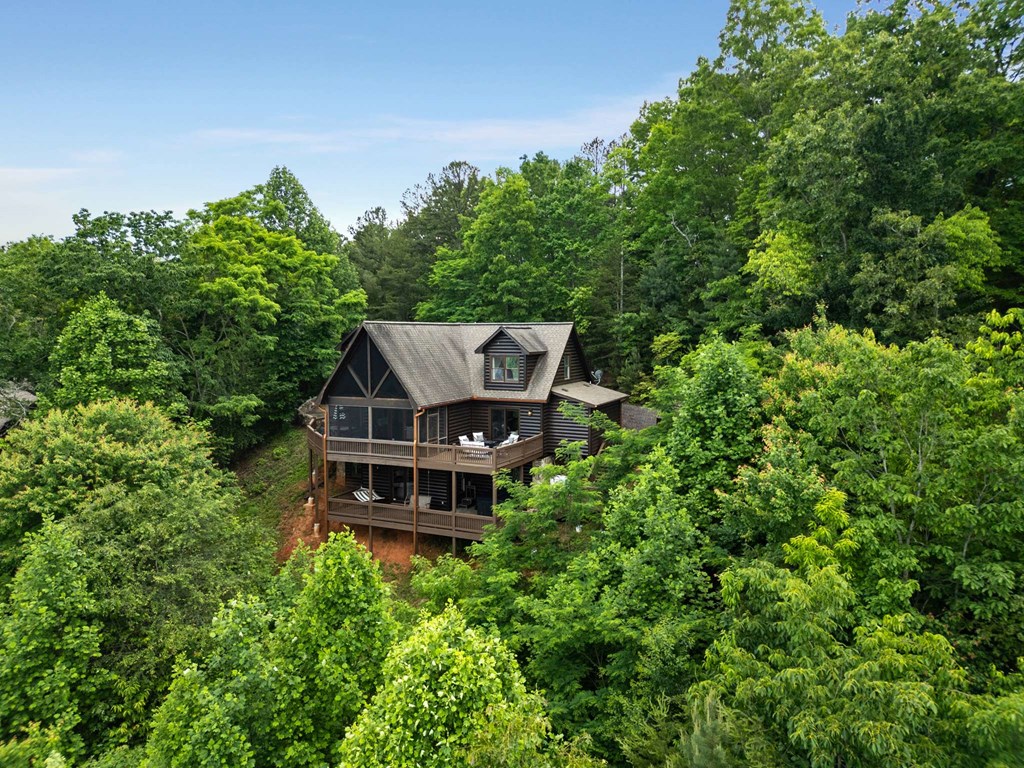 231 Sunrock Mountain Trail Property Photo 58
