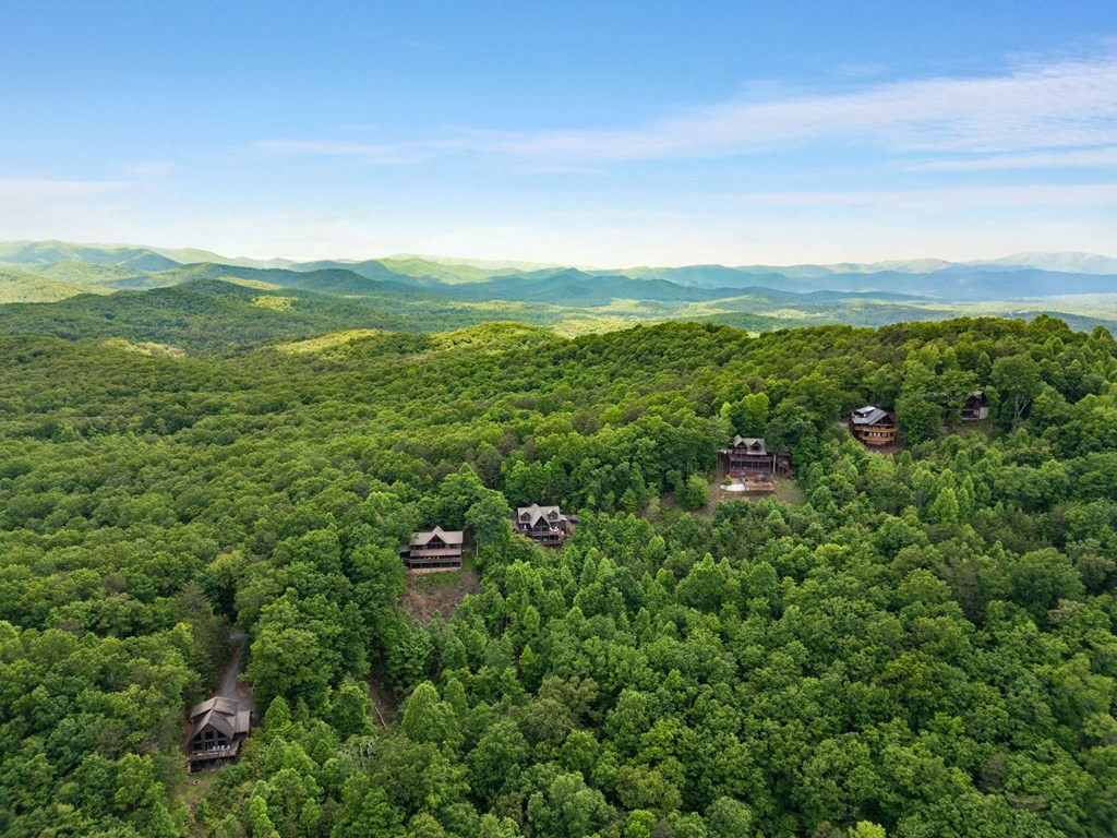 231 Sunrock Mountain Trail Property Photo 59
