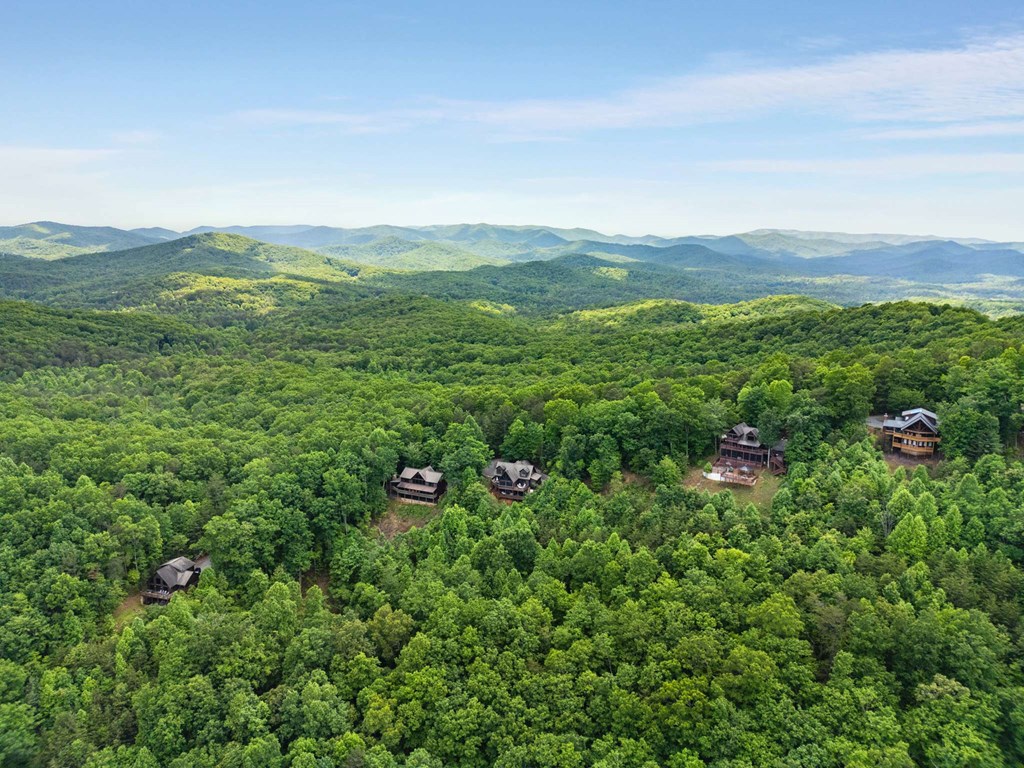 231 Sunrock Mountain Trail Property Photo 60
