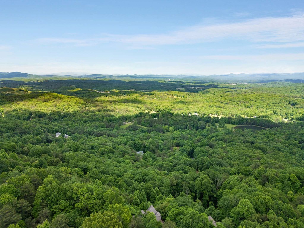 231 Sunrock Mountain Trail Property Photo 61